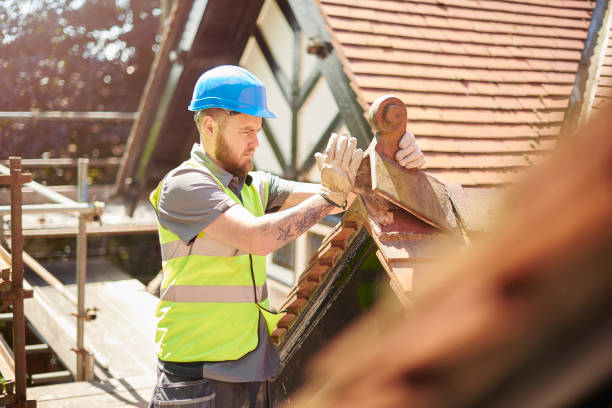 Best Flat Roof Repair Services  in Wright, WY